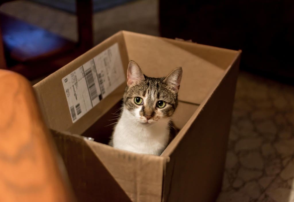 Moving Checklist: Canada-Wide Moves 7 moving checklist canada