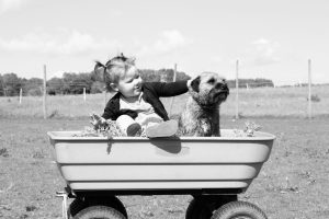 A child pets a dog in a wagon waiting to get moving in Ottawa.