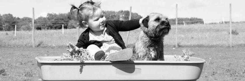 A child pets a dog in a wagon waiting to get moving in Ottawa.