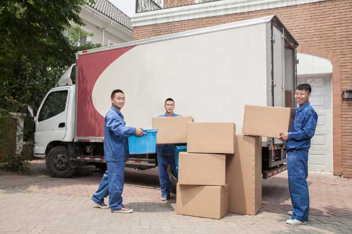 How to Find the Best Ottawa Moving Companies | TLC Moving & Storage 15 image 14